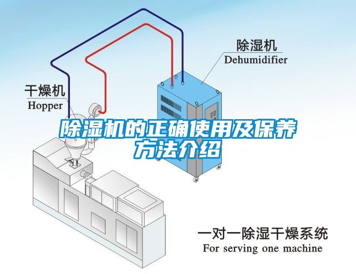 粉色视频免费在线观看的正确使用及保养方法介绍