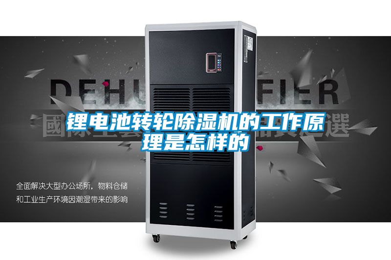锂电池转轮粉色视频免费在线观看的工作原理是怎样的