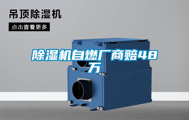 粉色视频免费在线观看自燃厂商赔48万