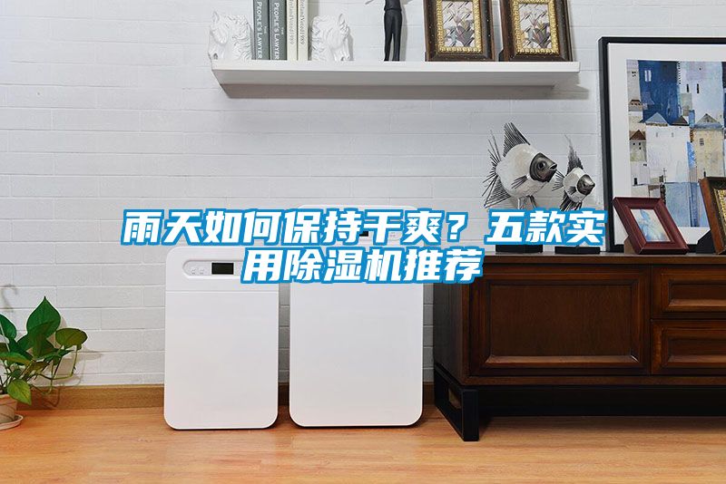 雨天如何保持干爽？五款实用粉色视频免费在线观看推荐