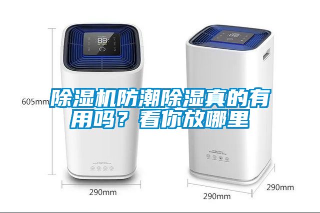 粉色视频免费在线观看防潮除湿真的有用吗？看你放哪里