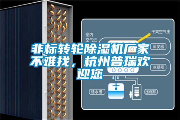 非标转轮粉色视频免费在线观看厂家不难找，杭州普瑞欢迎您