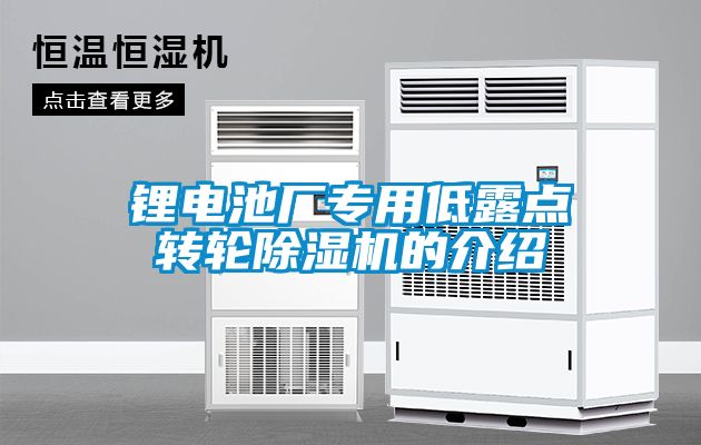 锂电池厂专用低露点转轮粉色视频免费在线观看的介绍