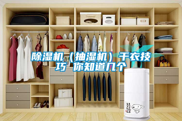 粉色视频免费在线观看（抽湿机）干衣技巧 你知道几个