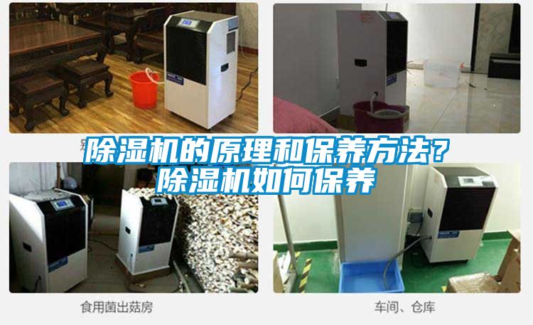 粉色视频免费在线观看的原理和保养方法？粉色视频免费在线观看如何保养