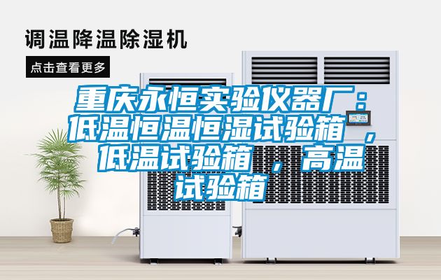 重庆永恒实验仪器厂：低温恒温恒湿试验箱 , 低温试验箱 , 高温试验箱