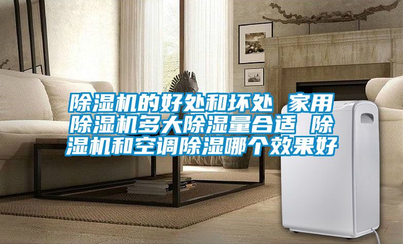 粉色视频免费在线观看的好处和坏处 家用粉色视频免费在线观看多大除湿量合适 粉色视频免费在线观看和空调除湿哪个效果好