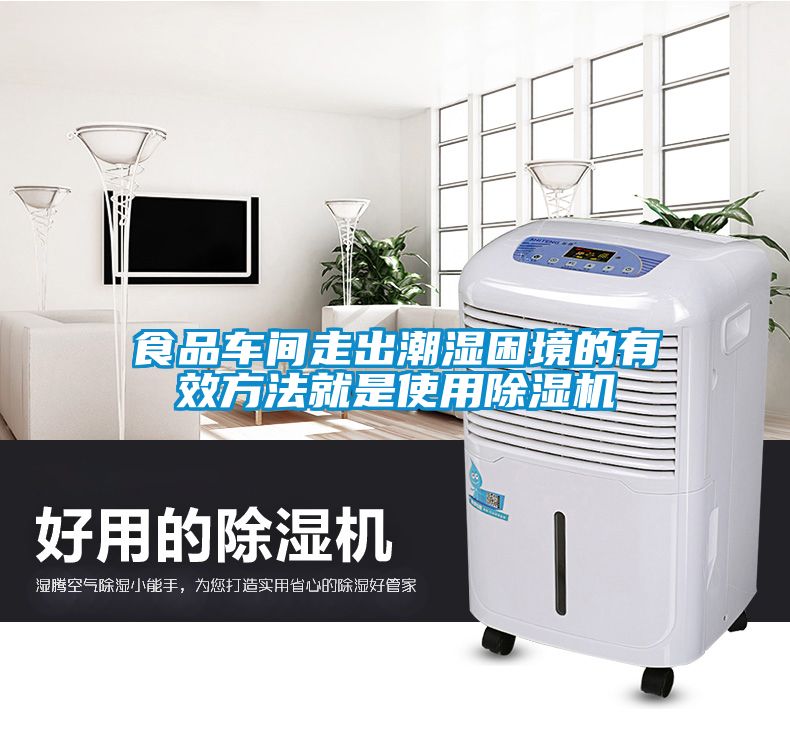 食品车间走出潮湿困境的有效方法就是使用粉色视频免费在线观看