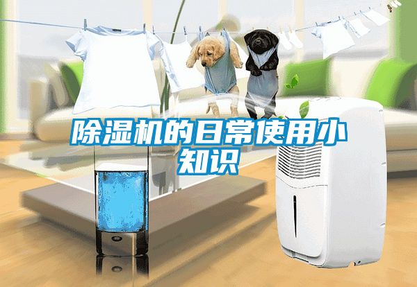 粉色视频免费在线观看的日常使用小知识