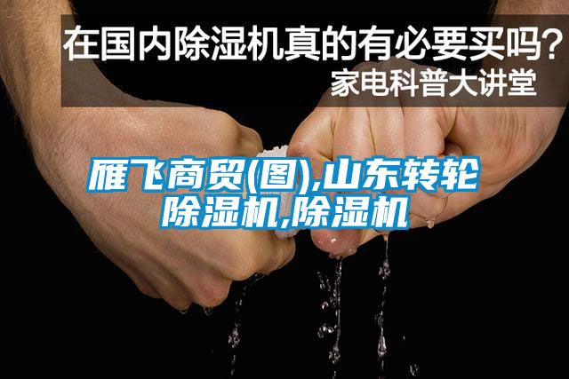 雁飞商贸(图),山东转轮粉色视频免费在线观看,粉色视频免费在线观看