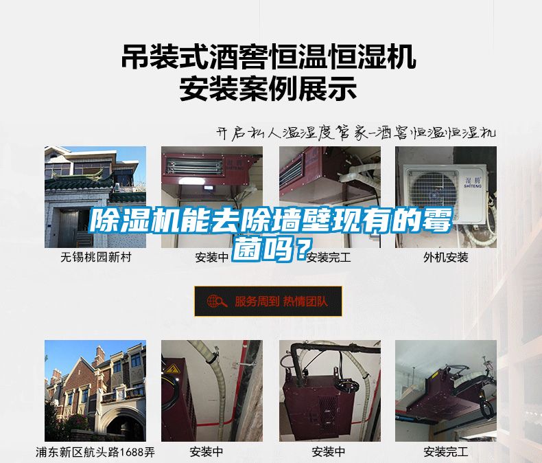 粉色视频免费在线观看能去除墙壁现有的霉菌吗？