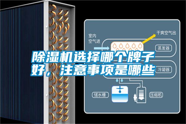 粉色视频免费在线观看选择哪个牌子好，注意事项是哪些