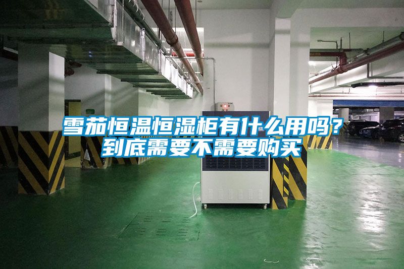 雪茄恒温恒湿柜有什么用吗？到底需要不需要购买