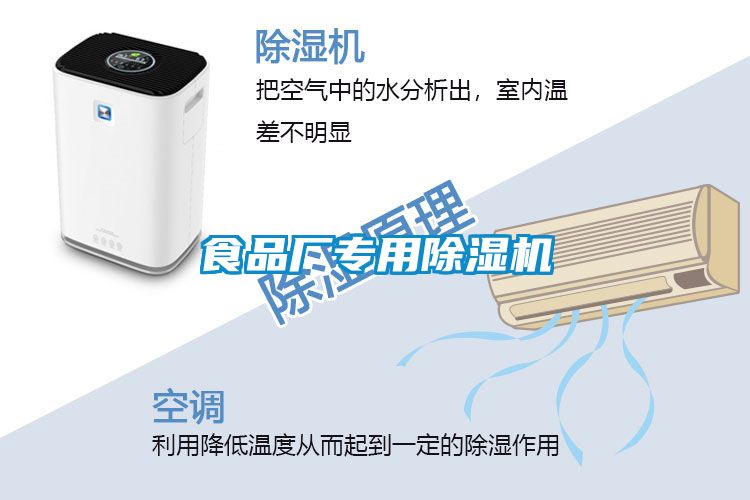 食品厂专用粉色视频免费在线观看