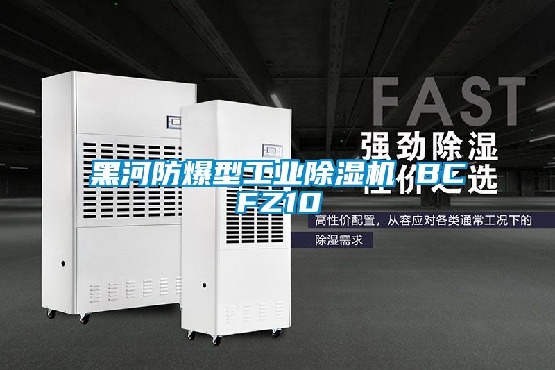 黑河防爆型工业粉色视频免费在线观看 BCFZ10