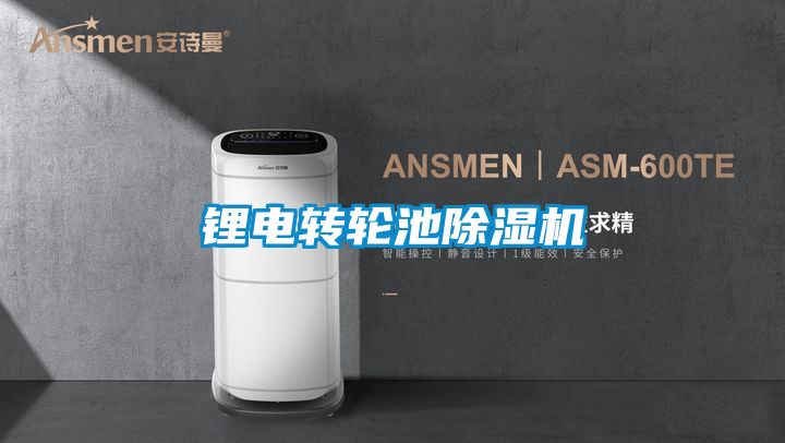 锂电转轮池粉色视频免费在线观看