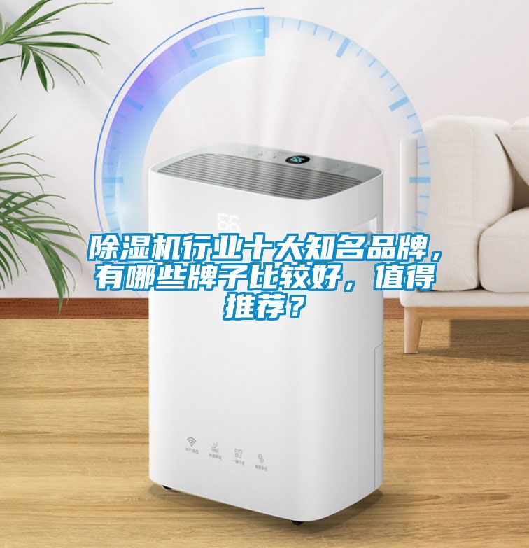 粉色视频免费在线观看行业十大知名品牌，有哪些牌子比较好，值得推荐？