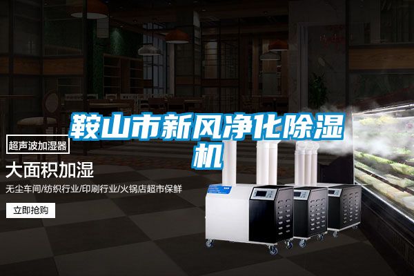鞍山市新风净化粉色视频免费在线观看