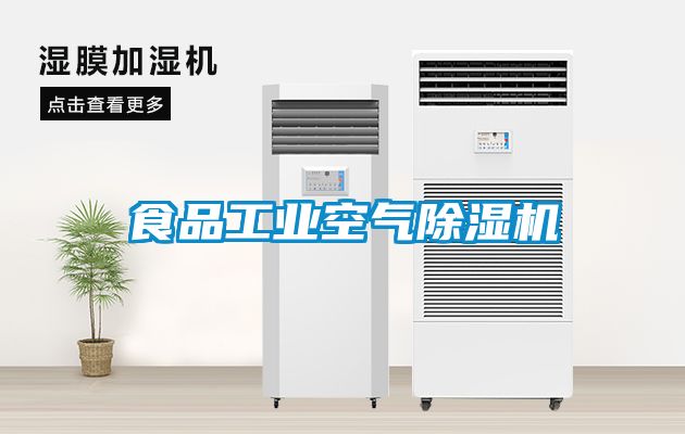 食品工业空气粉色视频免费在线观看