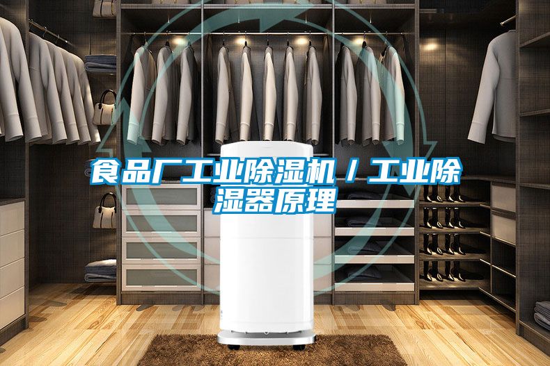 食品厂工业粉色视频免费在线观看／工业除湿器原理