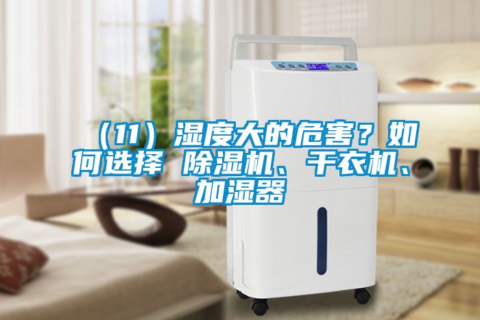 （11）湿度大的危害？如何选择 粉色视频免费在线观看、干衣机、加湿器