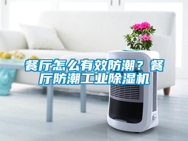 餐厅怎么有效防潮？餐厅防潮工业粉色视频免费在线观看