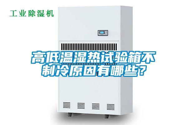 高低温湿热试验箱不制冷原因有哪些？