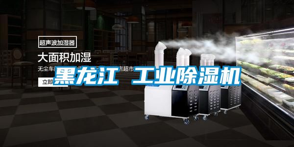 黑龙江 工业粉色视频免费在线观看