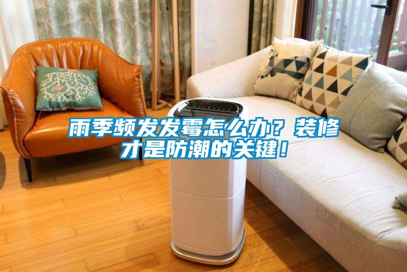 雨季频发发霉怎么办？装修才是防潮的关键！