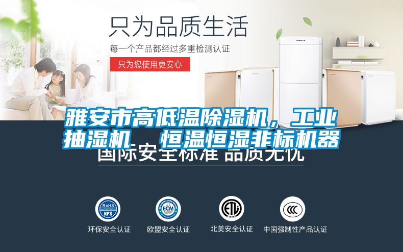 雅安市高低温粉色视频免费在线观看，工业抽湿机  恒温恒湿非标机器