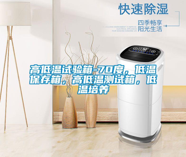 高低温试验箱-70度，低温保存箱，高低温测试箱，低温培养
