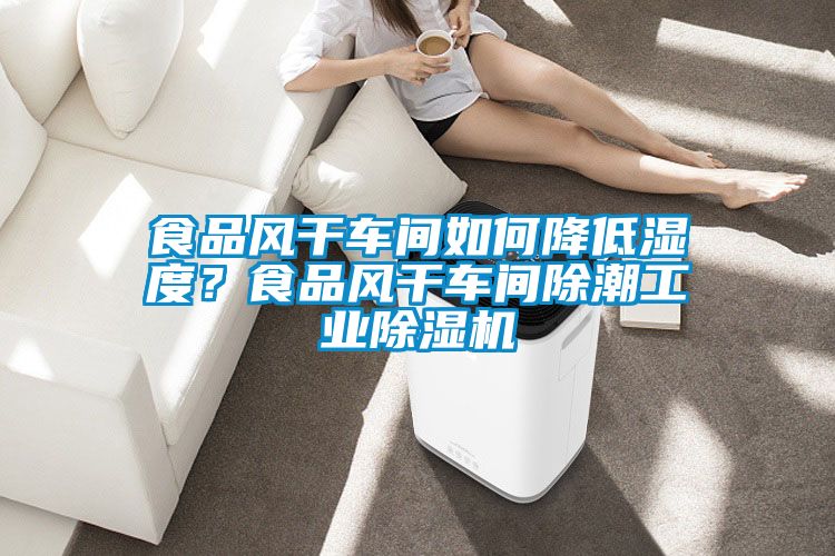 食品风干车间如何降低湿度？食品风干车间除潮工业粉色视频免费在线观看