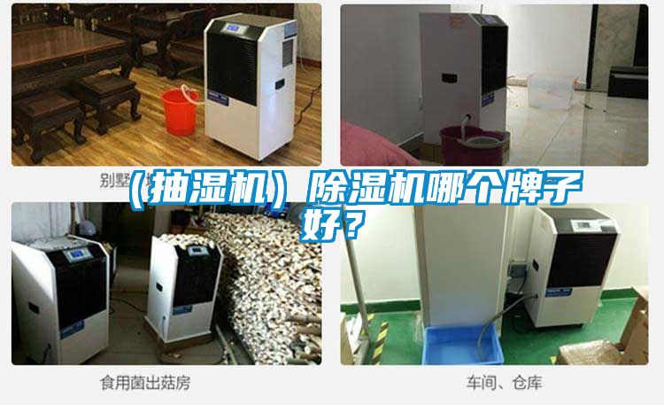 （抽湿机）粉色视频免费在线观看哪个牌子好？